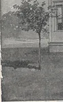 An illustration from Radford home builder (1911)