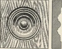 An illustration from Sash, doors, blinds, mouldings, and all kinds of millwork (1904)