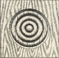 An illustration from Sash, doors, blinds, mouldings, and all kinds of millwork (1904)