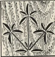Picture 162 of 534 from Sash, doors, blinds, mouldings, and all kinds of millwork (1904), leaf 144