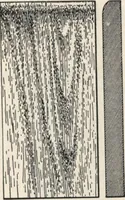 An illustration from Sash, doors, blinds, mouldings, and all kinds of millwork (1904)