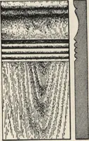 An illustration from Sash, doors, blinds, mouldings, and all kinds of millwork (1904)
