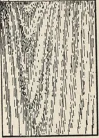 An illustration from Sash, doors, blinds, mouldings, and all kinds of millwork (1904)