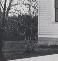 Picture 132 of 154 from Bennett better-built, ready-cut homes, catalog no. 21 (1922), leaf 65