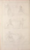 An illustration from Recueil de planches, sur les sciences, les arts libéraux, et les arts méchaniques : avec leur explication .. (1762)