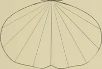 An illustration from Reflectors and fixtures for industrial lighting. (1912)