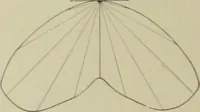 An illustration from Reflectors and fixtures for industrial lighting. (1912)