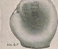 An illustration from Review of spring and summer goods, 1911 (1911)