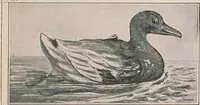 An illustration from Review of spring and summer goods, 1911 (1911)