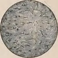 An illustration from Review of spring and summer goods, 1911 (1911)