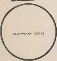 Picture 296 of 322 from Review of spring and summer goods, 1911 (1911), leaf 45