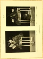 Picture 149 of 173 from Rheinauer Gartenmobel : Spalierwerke, Holzarbeiten fur Parkanlagen, Veranden und Wintergarten, Gartenlauben, Gartenhauser ... (1912), leaf 102