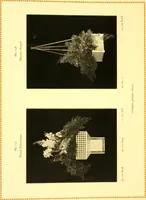 Picture 153 of 173 from Rheinauer Gartenmobel : Spalierwerke, Holzarbeiten fur Parkanlagen, Veranden und Wintergarten, Gartenlauben, Gartenhauser ... (1912), leaf 106