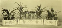 An illustration from Rheinauer Gartenmobel : Spalierwerke, Holzarbeiten fur Parkanlagen, Veranden und Wintergarten, Gartenlauben, Gartenhauser ... (1912)