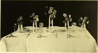 An illustration from Rheinauer Gartenmobel : Spalierwerke, Holzarbeiten fur Parkanlagen, Veranden und Wintergarten, Gartenlauben, Gartenhauser ... (1912)