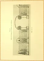 An illustration from Rheinauer Gartenmobel : Spalierwerke, Holzarbeiten fur Parkanlagen, Veranden und Wintergarten, Gartenlauben, Gartenhauser ... (1912)