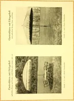 Picture 116 of 173 from Rheinauer Gartenmobel : Spalierwerke, Holzarbeiten fur Parkanlagen, Veranden und Wintergarten, Gartenlauben, Gartenhauser ... (1912), leaf 78