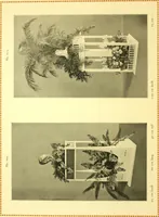 Picture 137 of 173 from Rheinauer Gartenmobel : Spalierwerke, Holzarbeiten fur Parkanlagen, Veranden und Wintergarten, Gartenlauben, Gartenhauser ... (1912), leaf 93