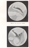 Picture 1 of 2 from Saggi di astronomia popolare, 1911, a. 1, f. 02 (1911), leaf 11