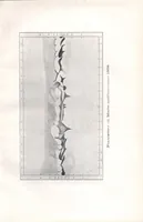 An illustration from Saggi di astronomia popolare, 1911, a. 1, f. 02 (1911)
