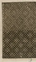 An illustration from Livre nouveau, dict patrons de lingerie, cest assavoir a deux endroitz, a poi[n]t croise, point couche et point picque... comprenant lart de broderie et tissoterie (1545)