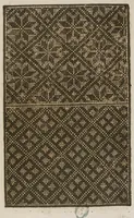 An illustration from Livre nouveau, dict patrons de lingerie, cest assavoir a deux endroitz, a poi[n]t croise, point couche et point picque... comprenant lart de broderie et tissoterie (1545)