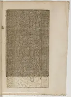 An illustration from Livre nouveau, dict patrons de lingerie, cest assavoir a deux endroitz, a poi[n]t croise, point couche et point picque... comprenant lart de broderie et tissoterie (1545)