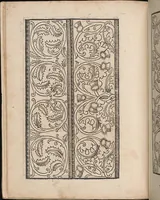 An illustration from Ein new modelbuch auff aussnehen und borten wircken yn der laden und langen gestell gemert und gebessert mitt new andern modeln (1524)