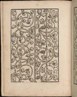 An illustration from Ein new modelbuch auff aussnehen und borten wircken yn der laden und langen gestell gemert und gebessert mitt new andern modeln (1524)