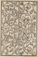Picture 7 of 16 from Ein new modelbuch auff aussnehen und borten wircken yn der laden und langen gestell gemert und gebessert mitt new andern modeln (1524), leaf 14