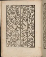 Picture 9 of 16 from Ein new modelbuch auff aussnehen und borten wircken yn der laden und langen gestell gemert und gebessert mitt new andern modeln (1524), leaf 17