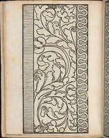 An illustration from Ein new modelbuch auff aussnehen und borten wircken yn der laden und langen gestell gemert und gebessert mitt new andern modeln (1524)