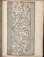 An illustration from Ein new modelbuch auff aussnehen und borten wircken yn der laden und langen gestell gemert und gebessert mitt new andern modeln (1524)