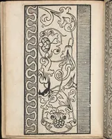 An illustration from Ein new modelbuch auff aussnehen und borten wircken yn der laden und langen gestell gemert und gebessert mitt new andern modeln (1524)