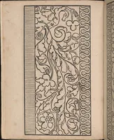An illustration from Ein new modelbuch auff aussnehen und borten wircken yn der laden und langen gestell gemert und gebessert mitt new andern modeln (1524)