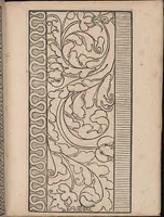 An illustration from Ein new modelbuch auff aussnehen und borten wircken yn der laden und langen gestell gemert und gebessert mitt new andern modeln (1524)