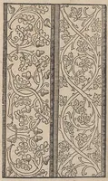 An illustration from Ein new modelbuch auff aussnehen und borten wircken yn der laden und langen gestell gemert und gebessert mitt new andern modeln (1524)