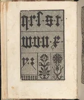 An illustration from 1529 ein new getruckt model büchli auff außnehen unnd borttenwircken ynn der laden unnd lanngenn gestell. Ganntz gerecht nach abteilung der feden tzal. (1529)