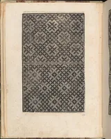 An illustration from 1529 ein new getruckt model büchli auff außnehen unnd borttenwircken ynn der laden unnd lanngenn gestell. Ganntz gerecht nach abteilung der feden tzal. (1529)