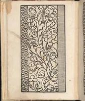An illustration from 1529 ein new getruckt model büchli auff außnehen unnd borttenwircken ynn der laden unnd lanngenn gestell. Ganntz gerecht nach abteilung der feden tzal. (1529)