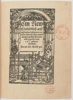 An illustration from Ein new Modelbuch auff aussnehen und porten wircken in der Laden unnd langengestell Gemert und gepessert mit 105 andern Modeln (1527)