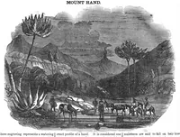 An illustration from Scientific American, Vol. 2, No. 9 (November 21, 1846) (1846)