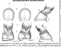 An illustration from Scientific American, Vol. 7, No. 4 (October 11, 1851) (1851)
