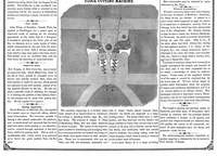 An illustration from Scientific American, Vol. 9, No. 11 (November 26, 1853) (1853)