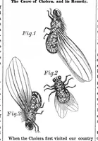 An illustration from Scientific American, Vol. 11, No. 23 (February 16, 1856) (1856)