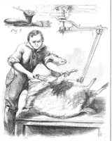 An illustration from Scientific American, Vol. 13, No. 17 (January 2, 1858) (1858)