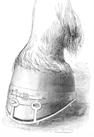 An illustration from Scientific American, Vol. 13, No. 24 (February 20, 1858) (1858)