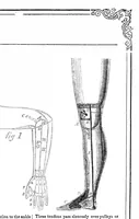 An illustration from Scientific American, Vol. 14, No. 25 (February 26, 1859) (1859)