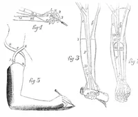 An illustration from Scientific American, Vol. 14, No. 25 (February 26, 1859) (1859)