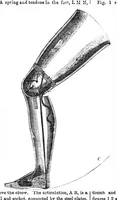 An illustration from Scientific American, Vol. 14, No. 25 (February 26, 1859) (1859)